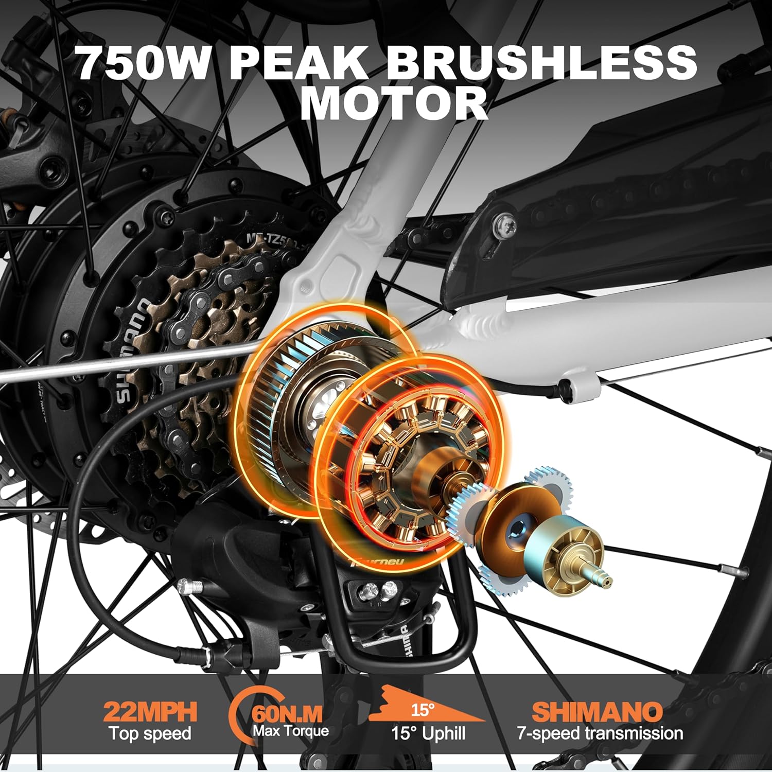 817wS3f-TL._AC_SL1500_.jpg