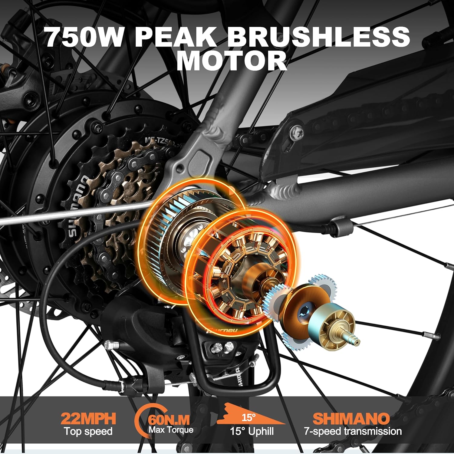 81yZ4cdgACL._AC_SL1500_.jpg